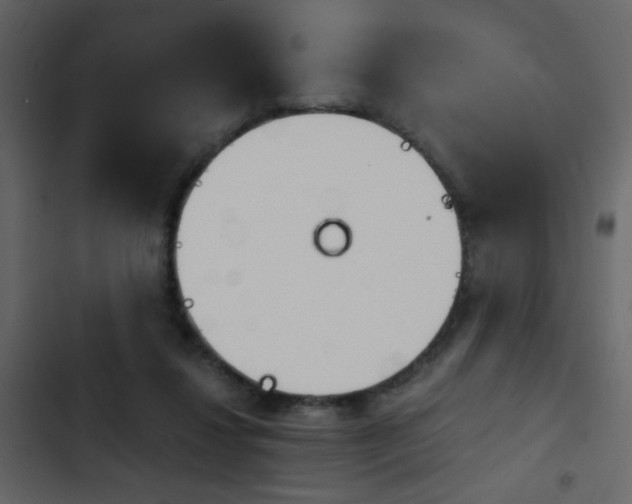 X0000103900260200809191102