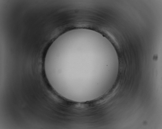 X0000103900261200809191102