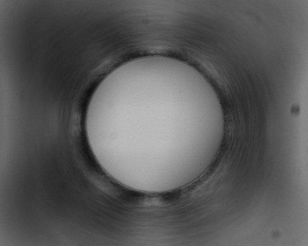 X0000103900262200809191102