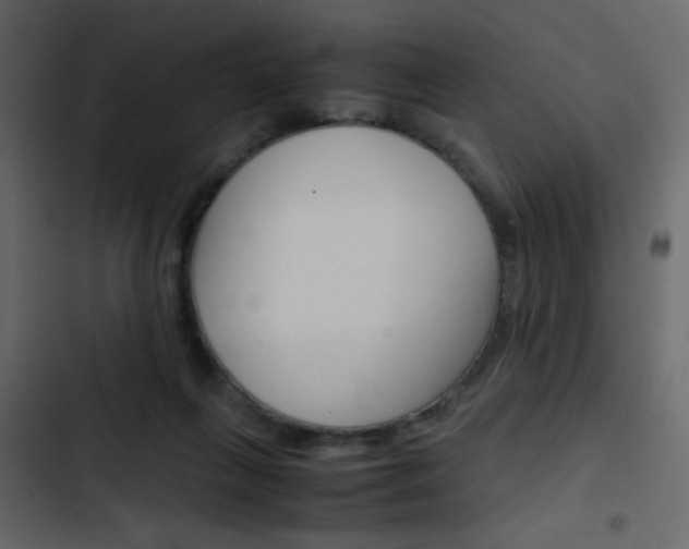 X0000103900263200809191102