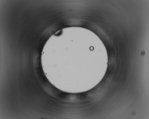 X0000103900264200809191102