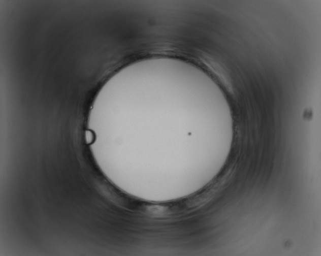 X0000103900265200809191102