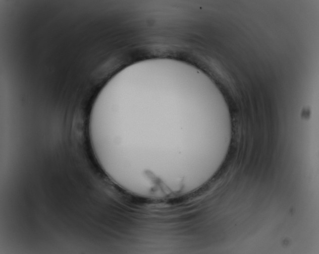 X0000103900266200809191102