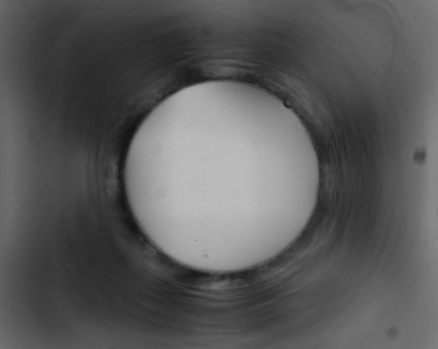 X0000103900267200809191102