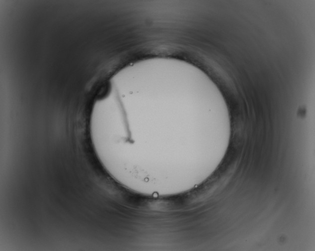 X0000103900268200809191102