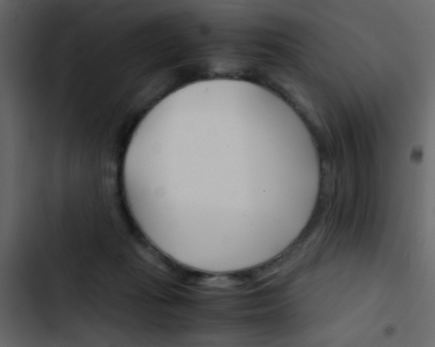 X0000103900269200809191102