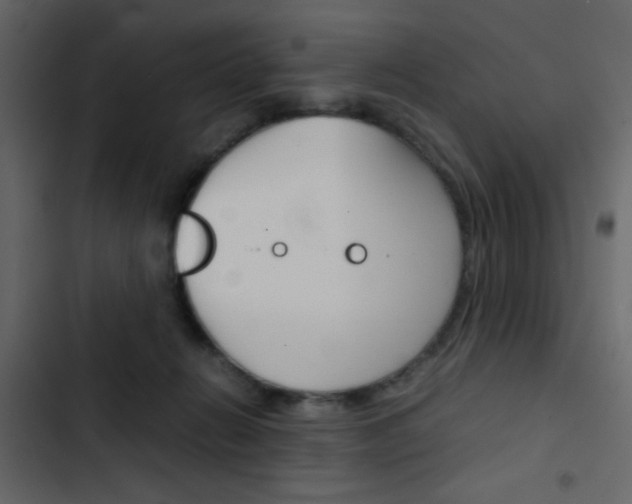X0000103900270200809191102