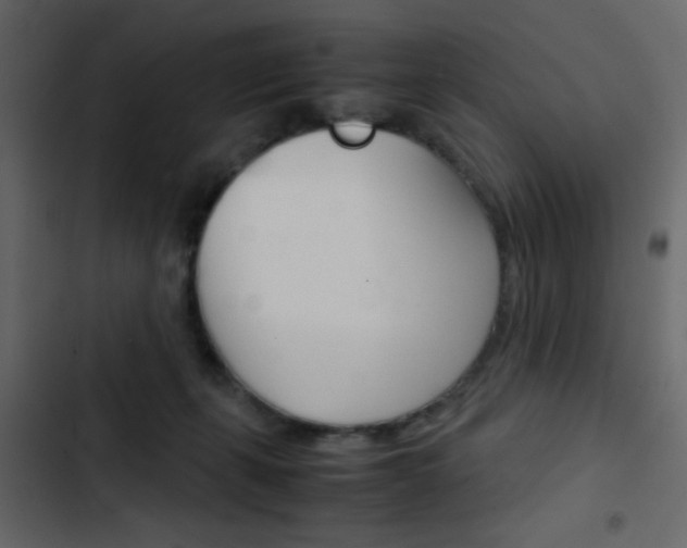 X0000103900271200809191102