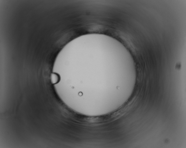 X0000103900273200809191102