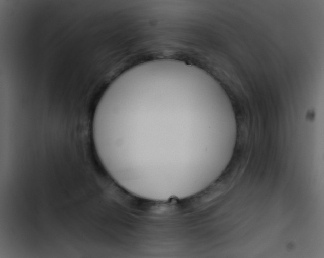 X0000103900274200809191102