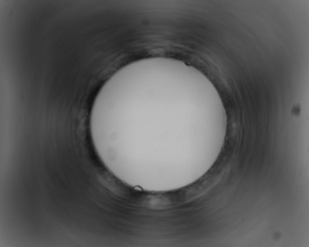 X0000103900275200809191102