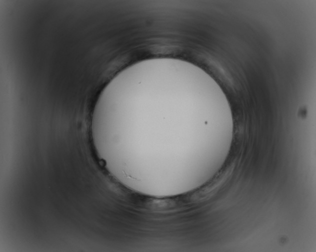 X0000103900277200809191102