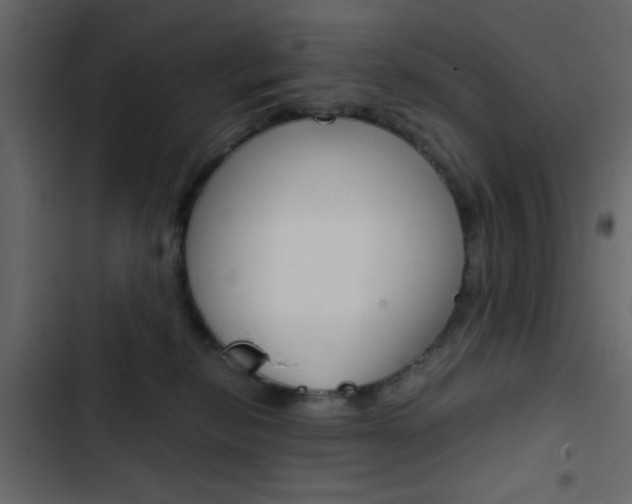 X0000103900278200809191102