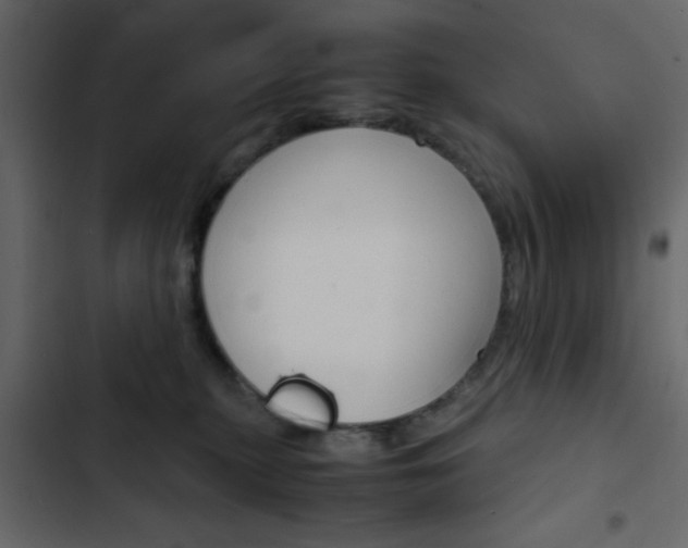 X0000103900279200809191102