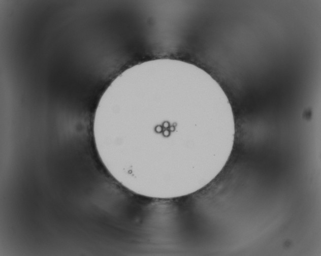 X0000103900280200809191102