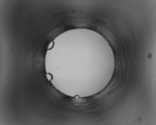 X0000103900281200809191102