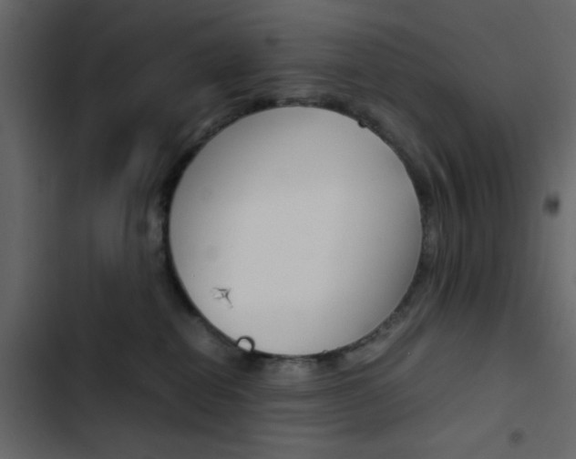 X0000103900282200809191102