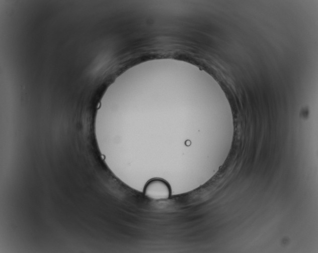 X0000103900283200809191102