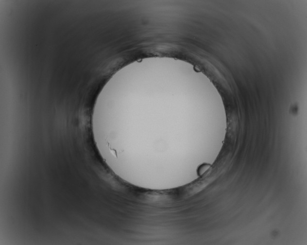X0000103900284200809191102