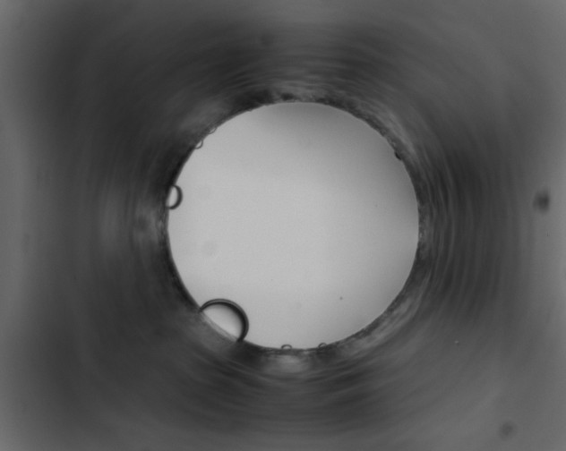 X0000103900285200809191102