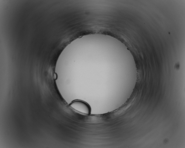 X0000103900286200809191102