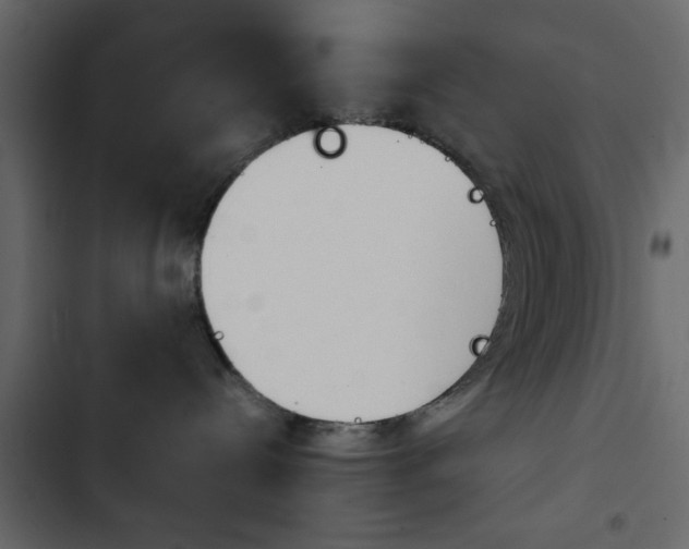 X0000103900288200809191102