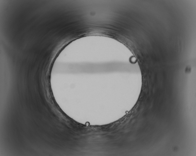 X0000103900289200809191102