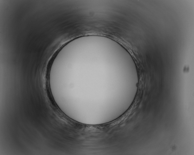 X0000103900290200809191102