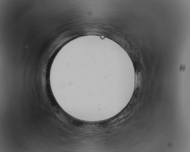 X0000103900291200809191102