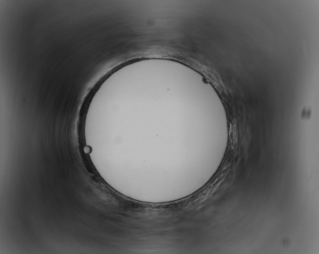 X0000103900292200809191102