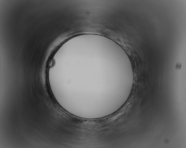 X0000103900294200809191102