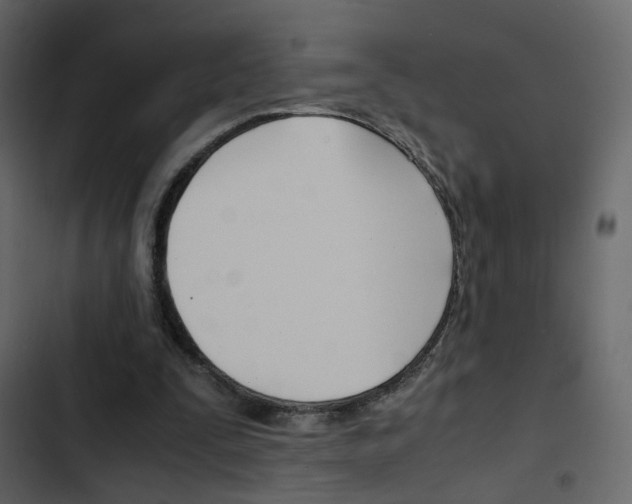 X0000103900295200809191102