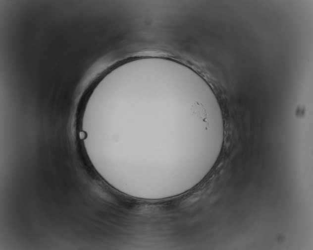 X0000103900296200809191102