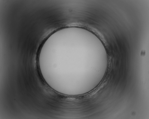 X0000103900298200809191102
