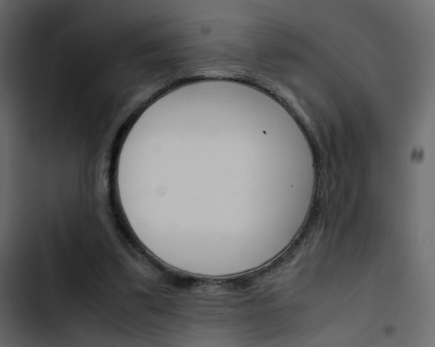 X0000103900299200809191102