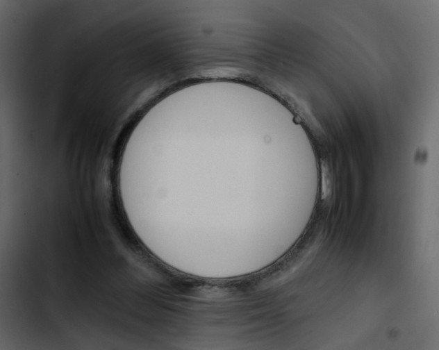 X0000103900300200809191102