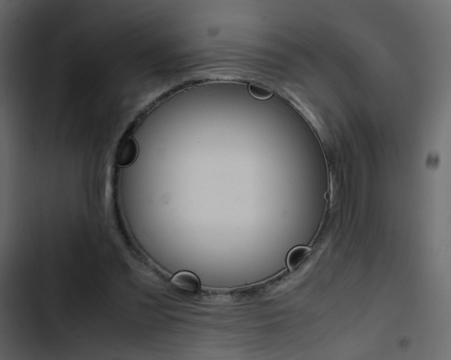 X0000103900301200809191102