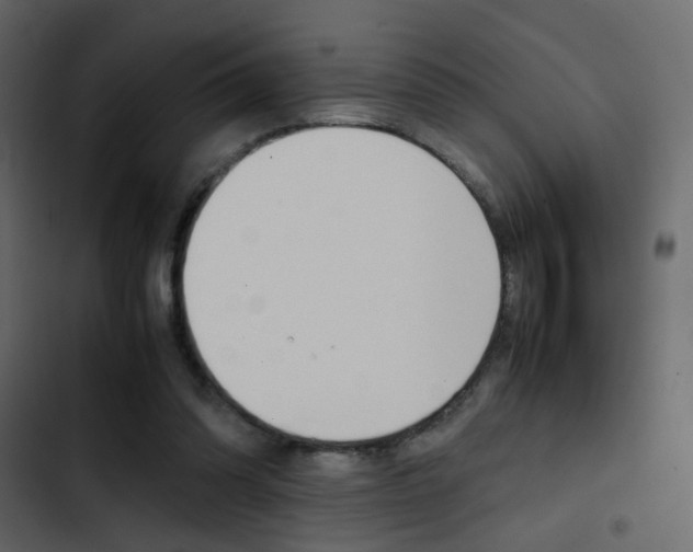 X0000103900302200809191102