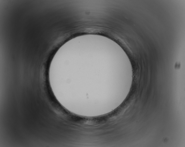 X0000103900303200809191101