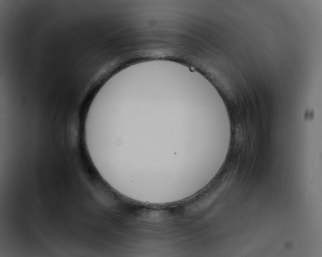 X0000103900304200809191101