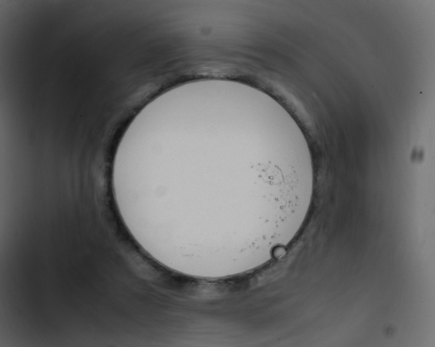X0000103900305200809191101