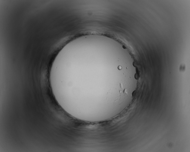 X0000103900306200809191101