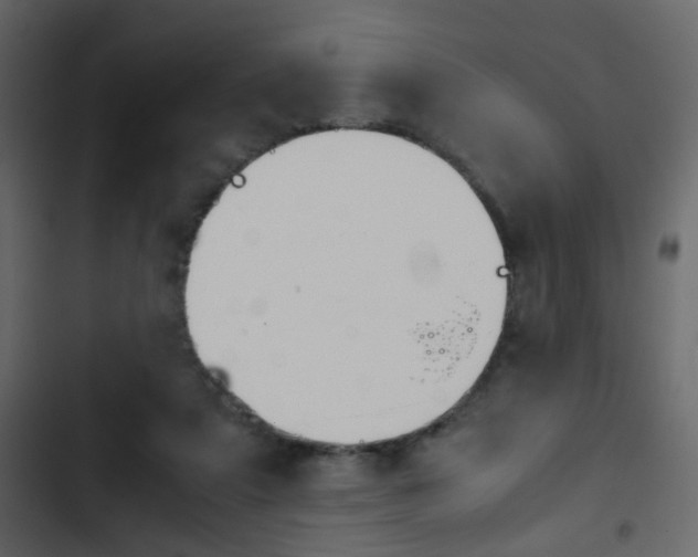 X0000103900307200809191101