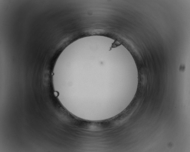 X0000103900308200809191101