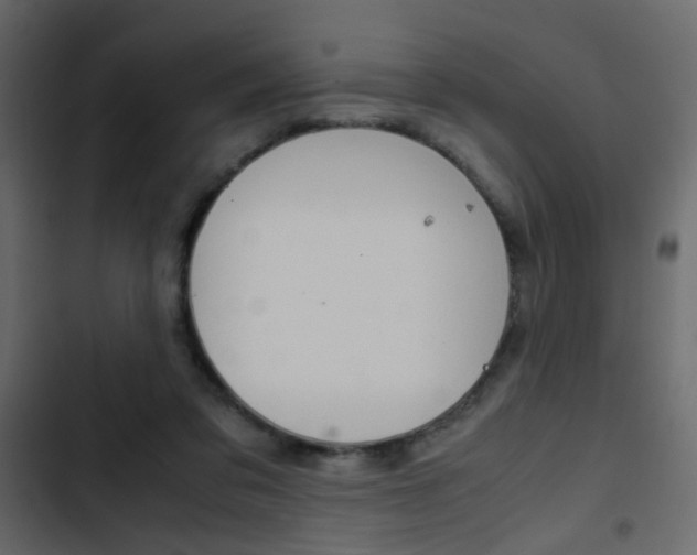 X0000103900309200809191101