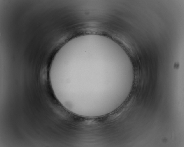 X0000103900310200809191101