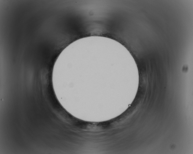 X0000103900311200809191101