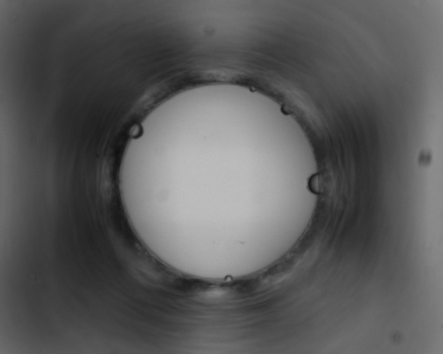 X0000103900312200809191101