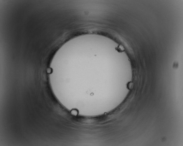 X0000103900313200809191101
