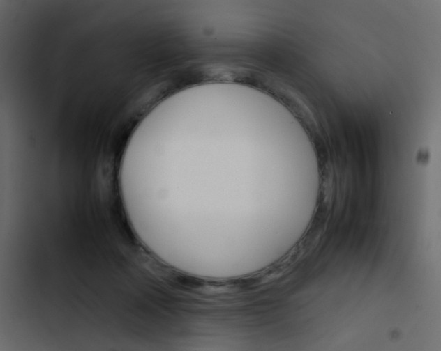 X0000103900314200809191101